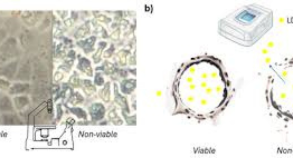 Total Nucleated Cell and Viable Cell Counts