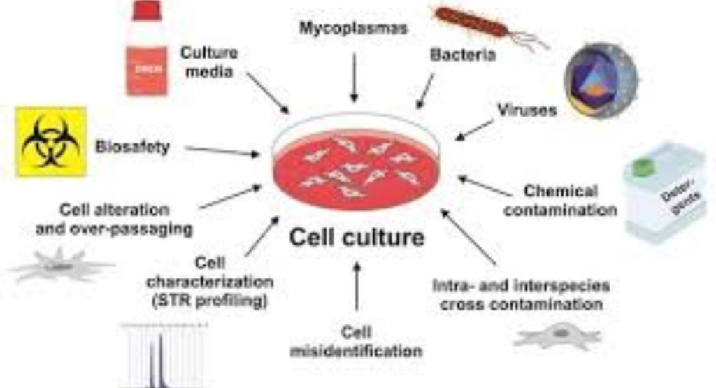 Total Nucleated Cell and Viable Cell Counts