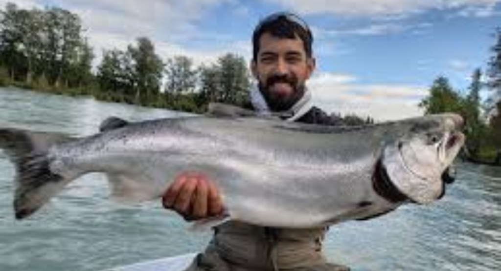 Kenai River Fish Counts