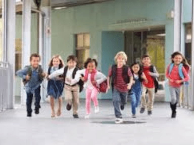 Do Schools and Shopping Centers Affect Turning Movement Counts?