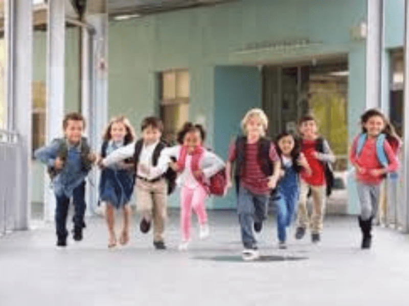 Do Schools and Shopping Centers Affect Turning Movement Counts?