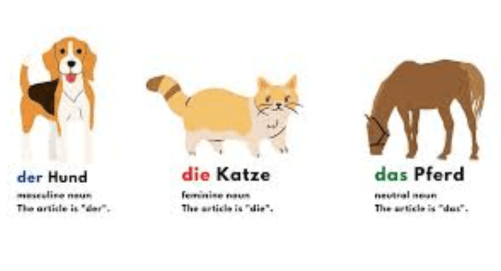 How to Use Der Die Das Easily