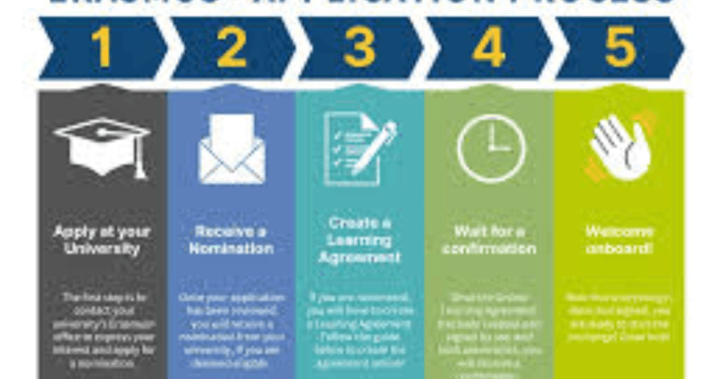 Erasmus tips beginners