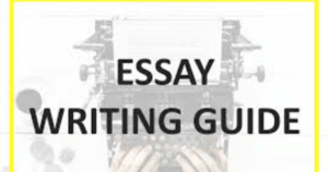 Essay Writing Guide for Beginners