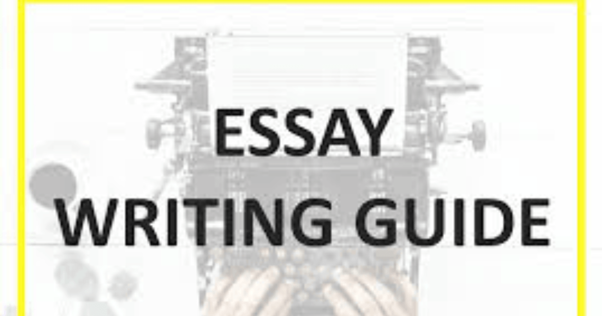 Essay Writing Guide for Beginners