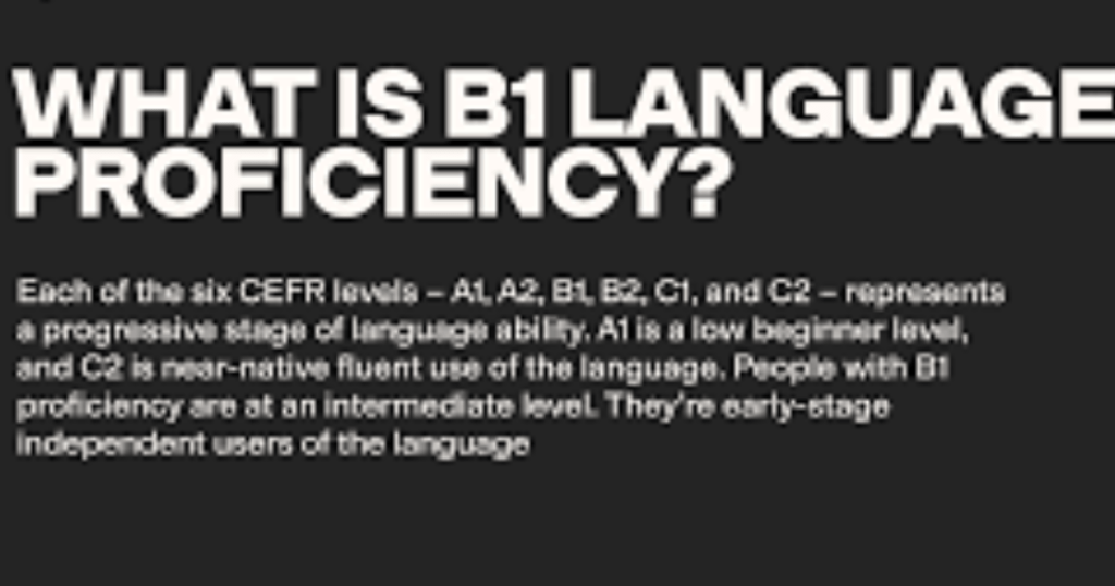 language level classification